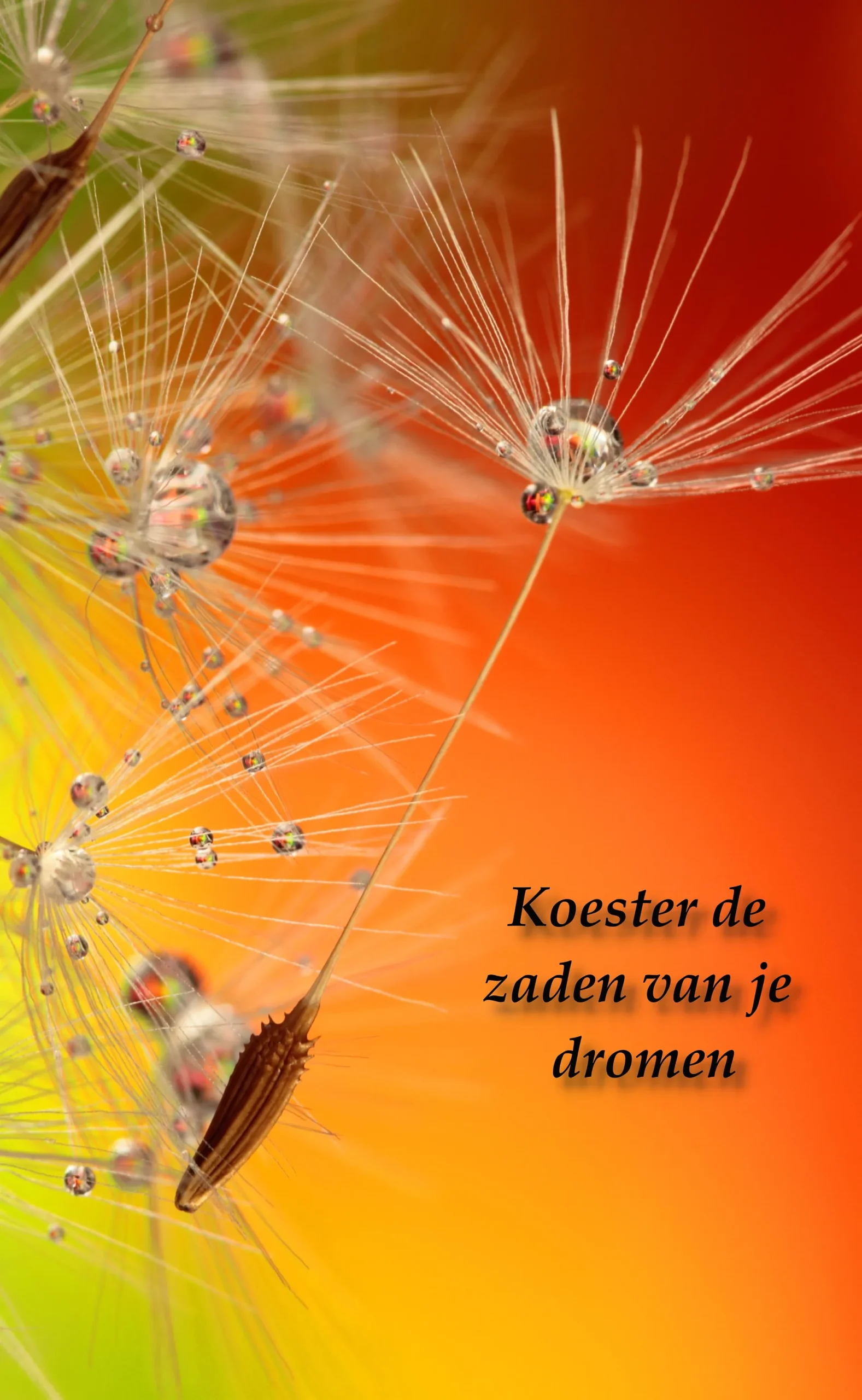 Afbeelding van Its Your Turningpoint met de tekst "Koester de zaden van je dromen"